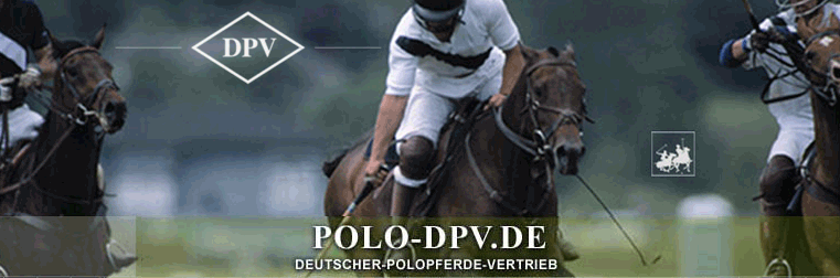 polodpv_back_oben